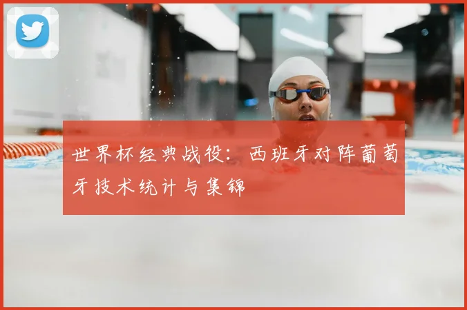 世界杯经典战役：西班牙对阵葡萄牙技术统计与集锦