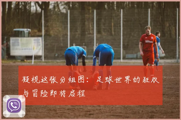 凝视这张分组图：足球世界的狂欢与冒险即将启程