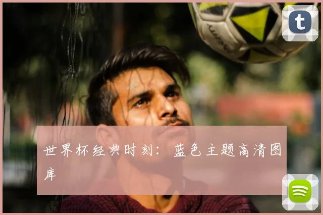 世界杯经典时刻：蓝色主题高清图库