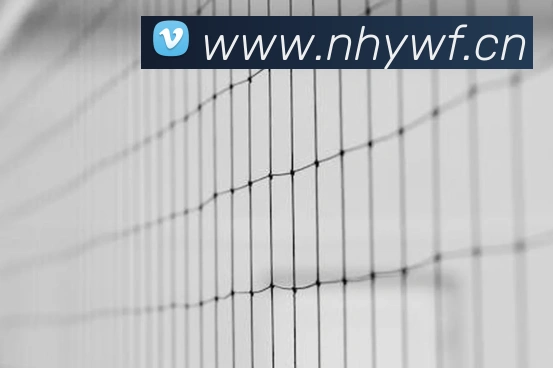 开云app登录入口下载品牌故事