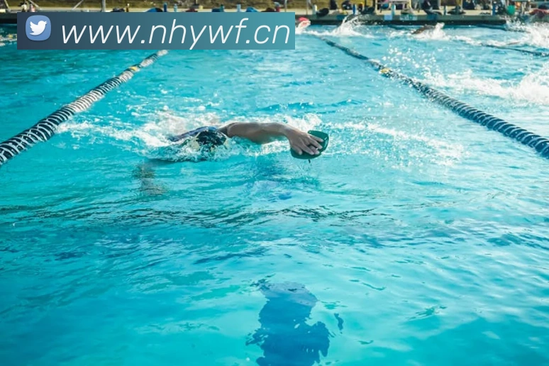 开云app登录入口下载服务体系